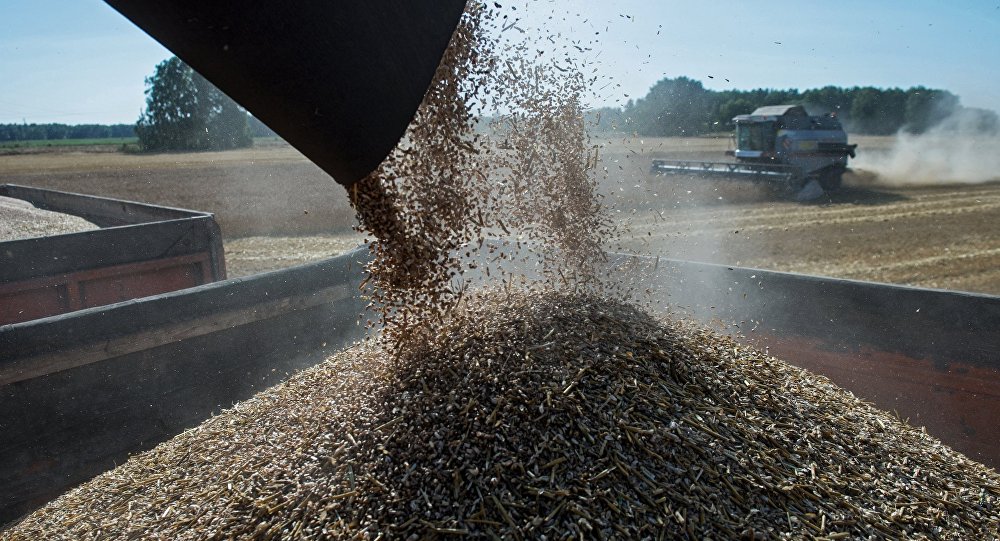 Russia’s Ministry of Agriculture says that the country is ready to cooperate with the US in the agricultural sector.